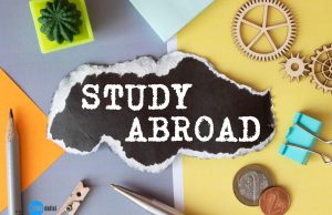 2025 yurtdışı eğitim rehberi, burslar, maliyetler ve başvuru süreci hakkında bilgi